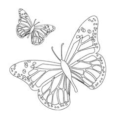 Dessin à colorier: Papillon (Animaux) #15672 - Coloriages à Imprimer Gratuits