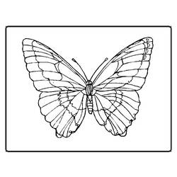 Dessin à colorier: Papillon (Animaux) #15673 - Coloriages à Imprimer Gratuits