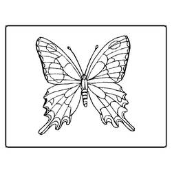 Dessin à colorier: Papillon (Animaux) #15678 - Coloriages à Imprimer Gratuits