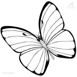 Dessin à colorier: Papillon (Animaux) #15680 - Coloriages à Imprimer Gratuits
