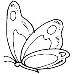 Dessin à colorier: Papillon (Animaux) #15685 - Coloriages à Imprimer Gratuits