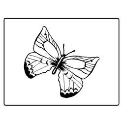 Dessin à colorier: Papillon (Animaux) #15687 - Coloriages à Imprimer Gratuits