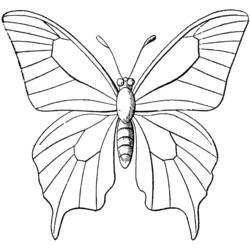 Dessin à colorier: Papillon (Animaux) #15693 - Coloriages à Imprimer Gratuits