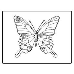 Dessin à colorier: Papillon (Animaux) #15694 - Coloriages à Imprimer Gratuits