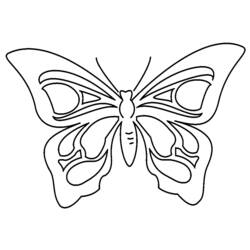 Dessin à colorier: Papillon (Animaux) #15707 - Coloriages à imprimer