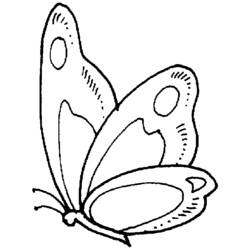 Dessin à colorier: Papillon (Animaux) #15719 - Coloriages à imprimer