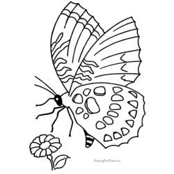 Dessin à colorier: Papillon (Animaux) #15720 - Coloriages à Imprimer Gratuits