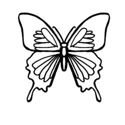 Dessin à colorier: Papillon (Animaux) #15779 - Coloriages à Imprimer Gratuits