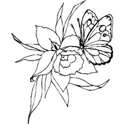Dessin à colorier: Papillon (Animaux) #15790 - Coloriages à Imprimer Gratuits