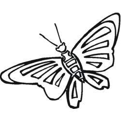 Dessin à colorier: Papillon (Animaux) #15813 - Coloriages à Imprimer Gratuits