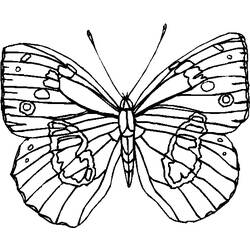 Dessin à colorier: Papillon (Animaux) #15814 - Coloriages à Imprimer Gratuits