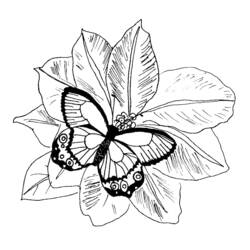 Dessin à colorier: Papillon (Animaux) #15815 - Coloriages à Imprimer Gratuits