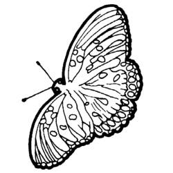 Dessin à colorier: Papillon (Animaux) #15837 - Coloriages à Imprimer Gratuits