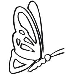 Dessin à colorier: Papillon (Animaux) #15840 - Coloriages à Imprimer Gratuits
