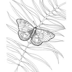 Dessin à colorier: Papillon (Animaux) #15841 - Coloriages à Imprimer Gratuits