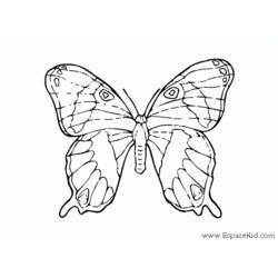 Dessin à colorier: Papillon (Animaux) #15857 - Coloriages à Imprimer Gratuits