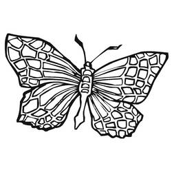 Coloriage Papillon (Animaux) #175096 à imprimer et colorier