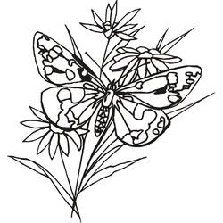 Coloriage Papillon (Animaux) #175100 à imprimer et colorier