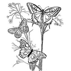Coloriage Papillon (Animaux) #175115 à imprimer et colorier