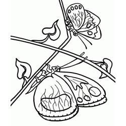 Coloriage Papillon (Animaux) #175116 à imprimer et colorier