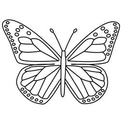 Coloriage Papillon (Animaux) #175118 à imprimer et colorier