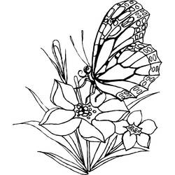 Coloriage Papillon (Animaux) #175120 à imprimer et colorier