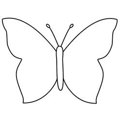 Coloriage Papillon (Animaux) #175121 à imprimer et colorier