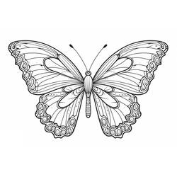 Coloriage Papillon (Animaux) #215714 à imprimer et colorier