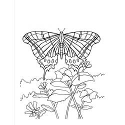 Coloriage Papillon (Animaux) #215723 à imprimer et colorier