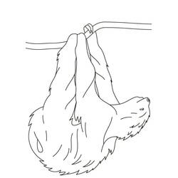 Coloriage Paresseux (Animaux) #210412 à imprimer et colorier