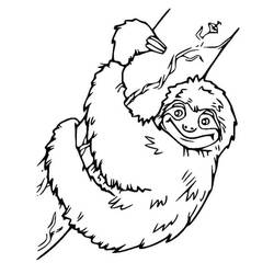 Dessin à colorier: Paresseux (Animaux) #210427 - Coloriages à Imprimer Gratuits