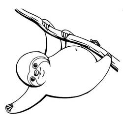 Dessin à colorier: Paresseux (Animaux) #210438 - Coloriages à Imprimer Gratuits