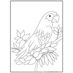 Dessin à colorier: Perroquet (Animaux) #16078 - Coloriages à imprimer