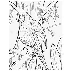 Dessin à colorier: Perroquet (Animaux) #16104 - Coloriages à Imprimer