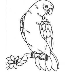 Dessin à colorier: Perroquet (Animaux) #16225 - Coloriages à imprimer
