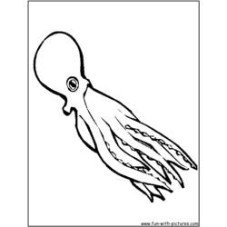 Dessin à colorier: Pieuvre (Animaux) #19031 - Coloriages à Imprimer Gratuits
