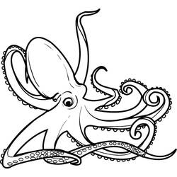 Coloriage Pieuvre (Animaux) #194460 à imprimer et colorier