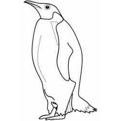 Dessin à colorier: Pingouin (Animaux) #16842 - Coloriages à Imprimer Gratuits
