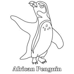 Dessin à colorier: Pingouin (Animaux) #16847 - Coloriages à Imprimer Gratuits