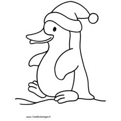 Dessin à colorier: Pingouin (Animaux) #16863 - Coloriages à imprimer