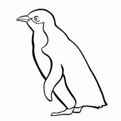 Dessin à colorier: Pingouin (Animaux) #16874 - Coloriages à imprimer