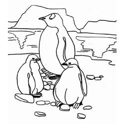Dessin à colorier: Pingouin (Animaux) #16876 - Coloriages à imprimer