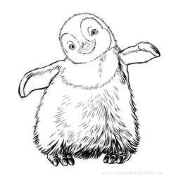 Dessin à colorier: Pingouin (Animaux) #16887 - Coloriages à imprimer
