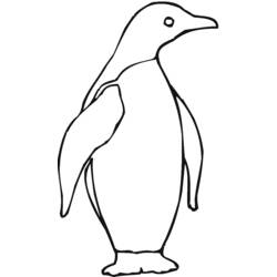 Dessin à colorier: Pingouin (Animaux) #16900 - Coloriages à imprimer