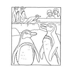 Dessin à colorier: Pingouin (Animaux) #16901 - Coloriages à Imprimer Gratuits