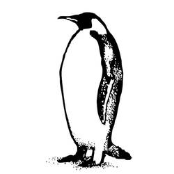 Dessin à colorier: Pingouin (Animaux) #16905 - Coloriages à imprimer