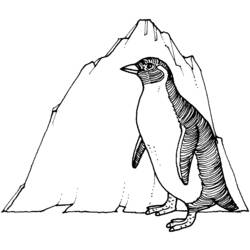Dessin à colorier: Pingouin (Animaux) #16943 - Coloriages à imprimer