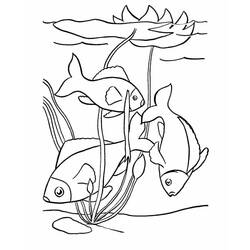 Coloriage Poisson (Animaux) #175179 à imprimer et colorier