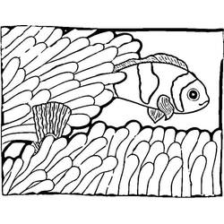 Dessin à colorier: Poisson Clown (Animaux) #218325 - Coloriages à Imprimer Gratuits