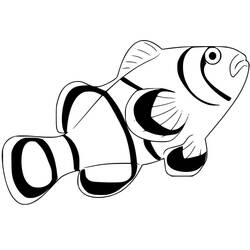 Dessin à colorier: Poisson Clown (Animaux) #218326 - Coloriages à Imprimer Gratuits